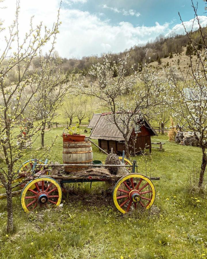 Log Cabin Uvac Nova Varoš Habitación foto